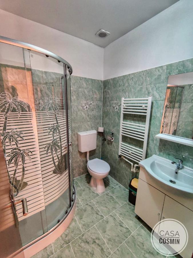 Casa Cosmin Cincu Hotel Exterior photo