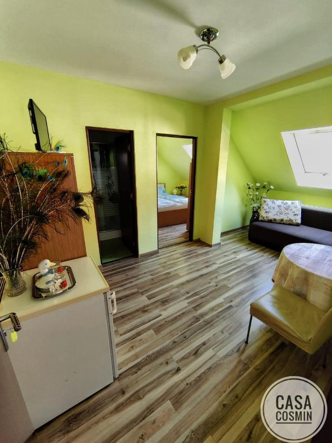 Casa Cosmin Cincu Hotel Exterior photo